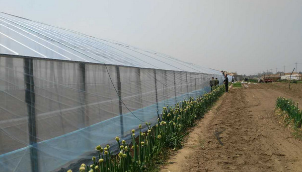 復(fù)合型大棚膜 復(fù)合型大棚膜