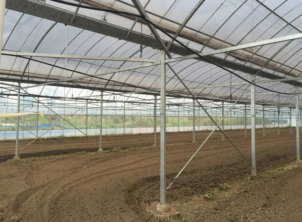 蔬菜大棚 蔬菜大棚