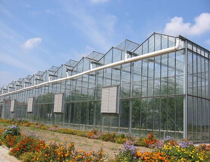 智能玻璃溫室大棚 智能玻璃溫室大棚