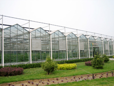 智能玻璃溫室 智能玻璃溫室
