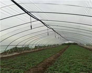 西安蔬菜大棚