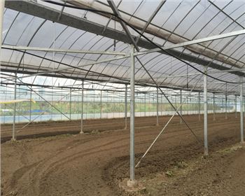 寧夏蔬菜大棚