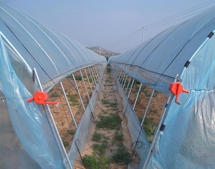 西安蔬菜溫室大棚