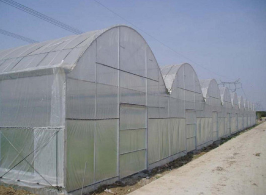西安溫室大棚建設 西安溫室大棚建設