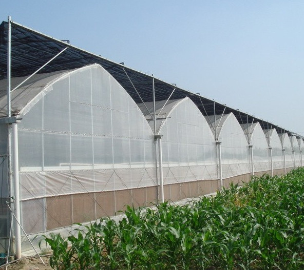 西安連棟溫室大棚 西安連棟溫室大棚