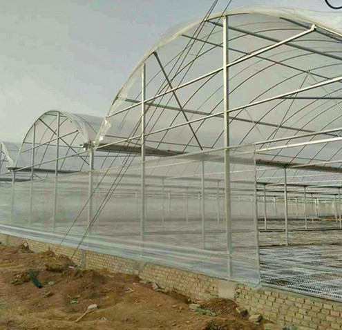 西安溫室大棚 西安溫室大棚