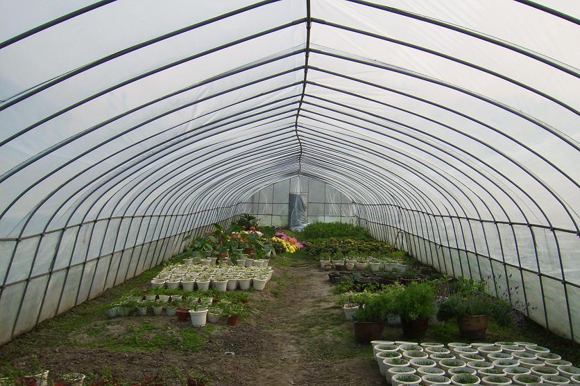 陜西鍍鋅大棚管 陜西鍍鋅大棚管