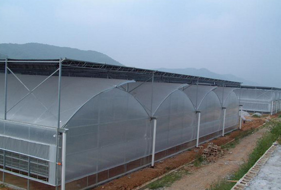 陜西溫室大棚 陜西溫室大棚