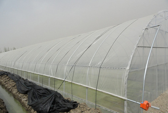 溫室大棚 溫室大棚