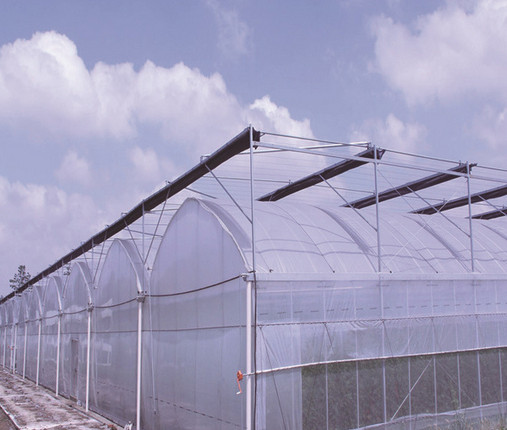 復(fù)合型大棚 復(fù)合型大棚