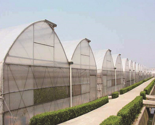 陜西復(fù)合型溫室大棚 陜西復(fù)合型溫室大棚