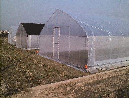溫室大棚 溫室大棚