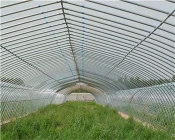 陜西熱鍍鋅大棚