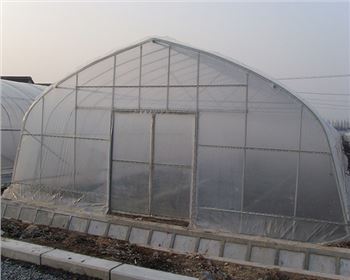陜西溫室大棚廠家 陜西溫室大棚廠家