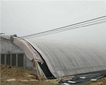 陜西溫室大棚 陜西溫室大棚