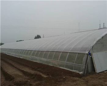 陜西溫室大棚廠家 陜西溫室大棚廠家