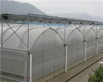 陜西溫室大棚廠家 陜西溫室大棚廠家
