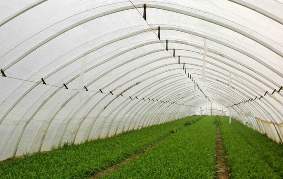 西安復(fù)合型大鵬廠家