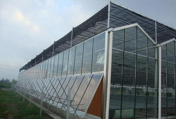 陜西溫室大棚 陜西溫室大棚